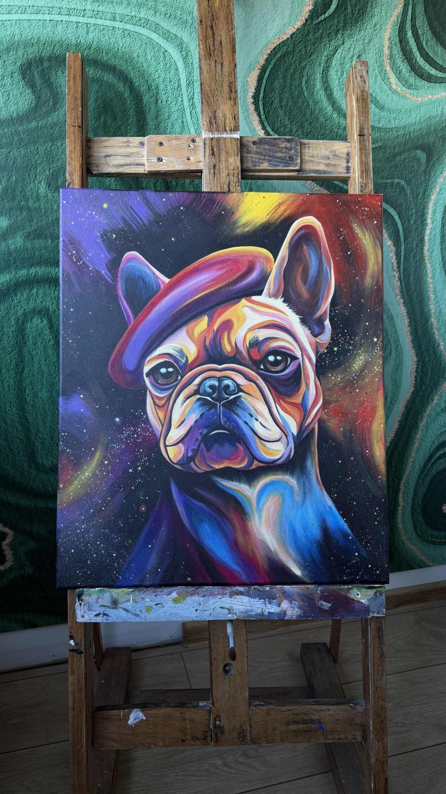 Buldog francuski w berecie - obrazek 2